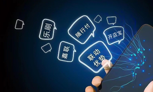 拉卡拉、嘉聯(lián)、國通、海科、合利寶、樂刷、隨行付、聯(lián)動、開店寶年度業(yè)績盤點